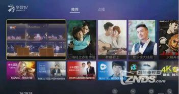 爆料盒子 爆料盒子,揭秘网络爆料背后的真相与影响