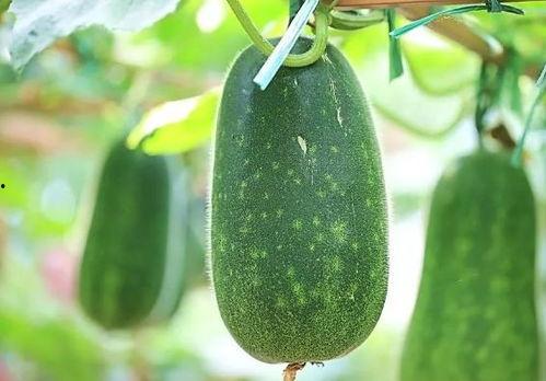 热门大瓜有哪些,揭秘明星幕后故事